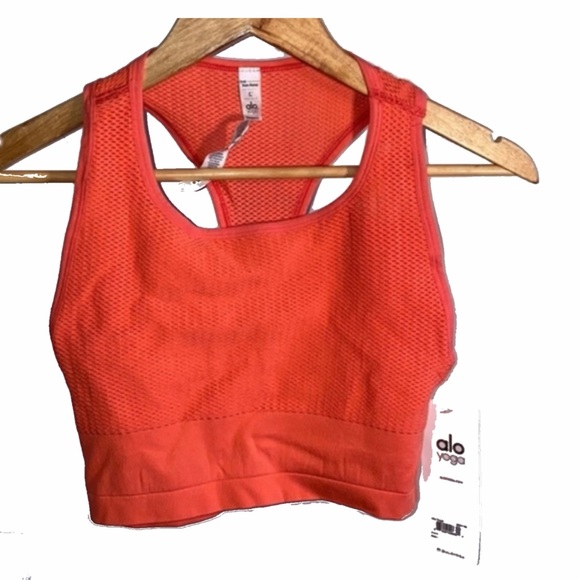 ALO Yoga Other - Alo Yoga Power Crop Bra